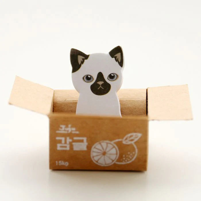 Kitty In A Box Sticky Notes